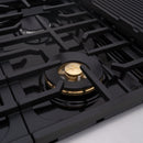 48" Freestanding Custom Gas Range with 8 Sealed Burners Cooktop, Rapid Convection Oven, Natural Gas/LP Convertible