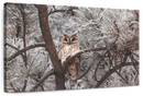 Great Horned Owl Wall Art