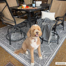 Diah Black & Bone Outdoor Area Rug - Clearance