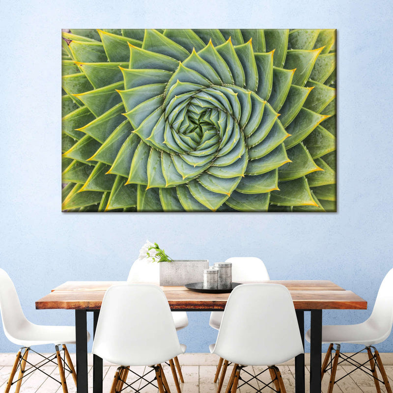 Spiral Succulent Wall Art