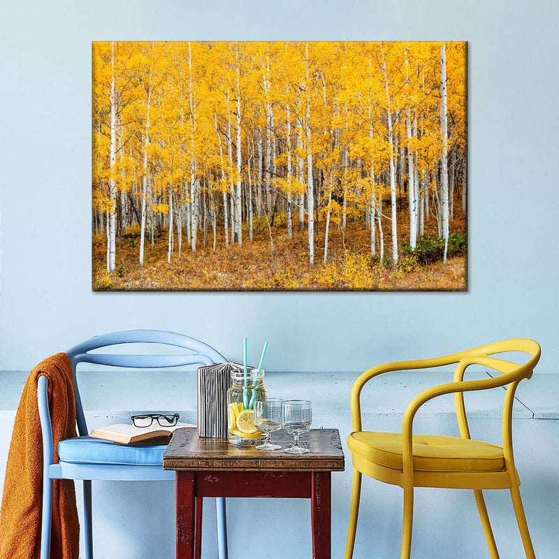 Colorado Aspen Forest Wall Art