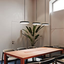 Disc Pendant Light - Open Box