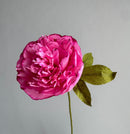 Hand Painted Garden Peony Single Bloom, Limited Edition | Paper Peony Stem