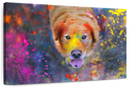 Colorful Labrador Wall Art