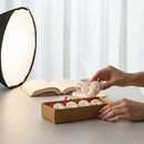 Bleeding Bob Cinnamon Wax Melts