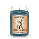 Doodle's Delight™ - Large Jar Candle (Collective)