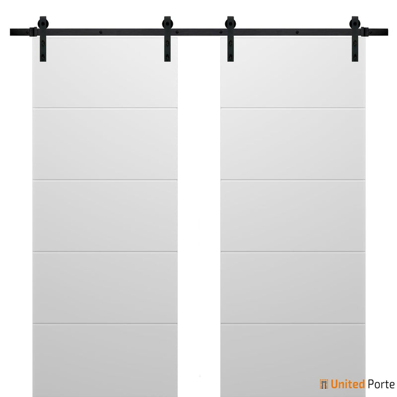 Planum 0770 Painted White Matte Double Barn Door and Black Rail