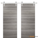 Planum 0020 Ginger Ash Double Barn Door and Silver Rail