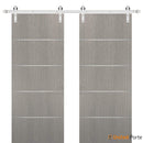 Planum 0020 Grey Oak Double Barn Door and Silver Rail