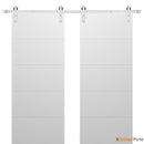 Planum 0770 Painted White Matte Double Barn Door and Silver Rail