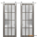 Felicia 3312 Ginger Ash Grey Double Barn Door with 12 Lites Frosted Glass and Silver Rail
