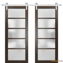 Quadro 4002 Chocolate Ash Double Barn Door with Frosted Glass and Silver Rail