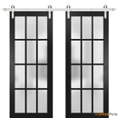 Felicia 3312 Matte Black Double Barn Door with Frosted Glass and Silver Rail