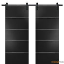 Planum 0020 Matte Black Double Barn Door and Black Rail