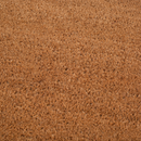 Double Black Border Coir Doormat