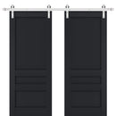 Veregio 7411 Antracite Double Barn Door and Silver Finish Rail