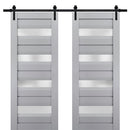 Veregio 7455 Matte Grey Double Barn Door with Frosted Glass and Black Rail