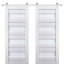 Veregio 7455 Matte White Double Barn Door with Frosted Glass and Silver Finish Rail