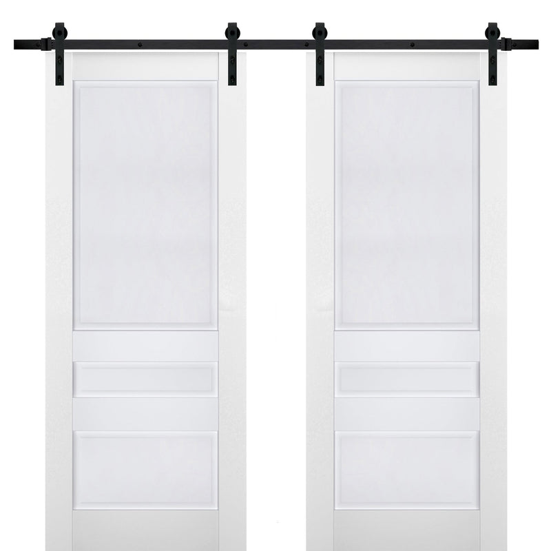 Veregio 7411 Matte White Double Barn Door and Black Rail