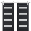 Veregio 7455 Antracite Double Barn Door with Frosted Glass and Silver Finish Rail