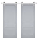 Veregio 7411 Matte Grey Double Barn Door and Silver Finish Rail