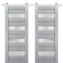 Veregio 7455 Matte Grey Double Barn Door with Frosted Glass and Silver Finish Rail