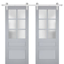 Veregio 7339 Matte Grey Double Barn Door with Frosted Glass and Silver Finish Rail