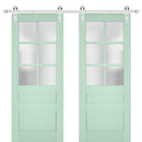 Veregio 7339 Oliva Double Barn Door with Frosted Glass and Silver Finish Rail