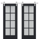 Veregio 7412 Antracite Double Barn Door with Frosted Glass and Silver Finish Rail