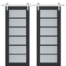 Veregio 7602 Antracite Double Barn Door with Frosted Glass and Silver Finish Rail