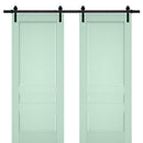 Veregio 7411 Oliva Double Barn Door and Black Rail