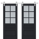 Veregio 7339 Antracite Double Barn Door with Frosted Glass and Silver Finish Rail
