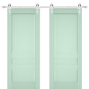 Veregio 7411 Oliva Double Barn Door and Silver Finish Rail