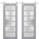 Veregio 7602 Matte Grey Double Barn Door with Frosted Glass and Silver Finish Rail