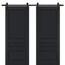 Veregio 7411 Antracite Double Barn Door and Black Rail