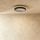 Doveva Ceiling Light