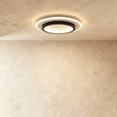 Doveva Ceiling Light