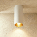 Dowan Downlight
