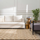 Ionut Checkered Jute Area Rug