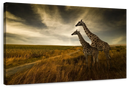 Giraffe Family Wall Art