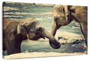 Asian Elephants Wall Art