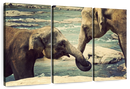 Asian Elephants Wall Art