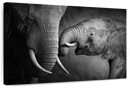 Elephant Affection Wall Art