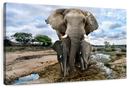 Safari Elephants Wall Art