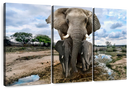 Safari Elephants Wall Art