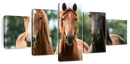 Young Horses Wall Art