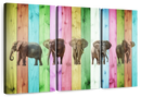 Color Stripe Elephants