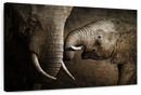Affectionate Elephants Wall Art