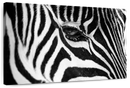 Zebra Eye Wall Art