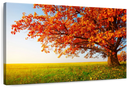 Autumn Oak Tree Wall Art